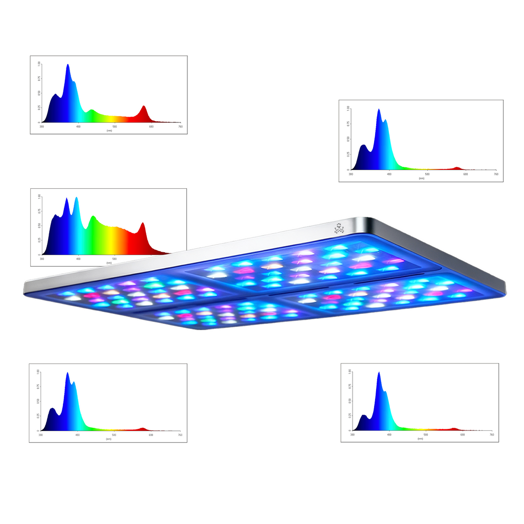 Nova Pro-1 Limited Pioneer Edition
